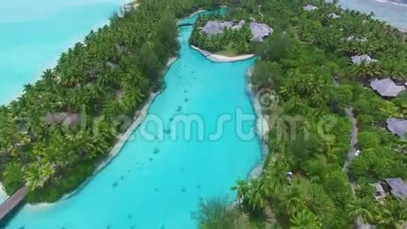 丰富的深野性热带海洋岛棕榈树森林与旅游平房酒店在博拉博拉4k鸟瞰视频的预览图