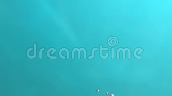空气气泡在蓝水中缓慢漂浮上升至水面视频的预览图