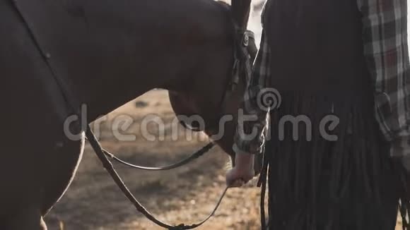 日出时骑着黑马走的小女孩美丽的马视频的预览图