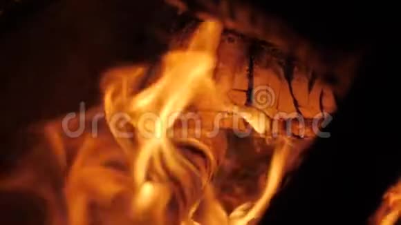夜间篝火接近自然背景视频的预览图