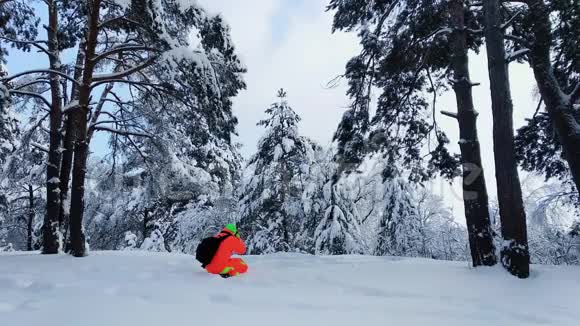 摄影师拍摄冬天的雪林视频的预览图