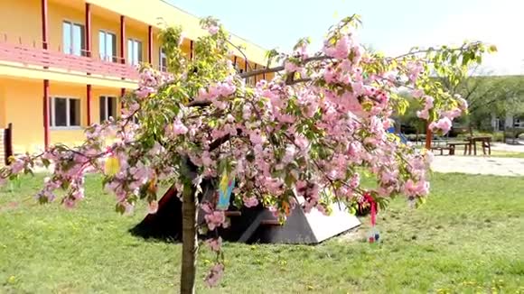 花园中的复活节树现代公共建筑幼儿园学前班视频的预览图