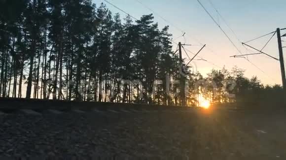 日落和铁路背景下的森林景观视频的预览图