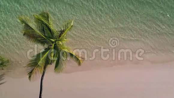 热带岛屿海滩和海浪上的椰子棕榈树的鸟瞰图视频的预览图