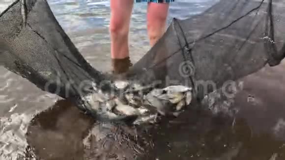 渔夫把笼子从水里拿出来里面有许多鱼被溢出了视频的预览图