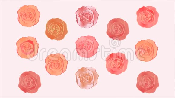 玫瑰无缝背景灰色背景上绚丽多彩的花朵母亲节背景视频的预览图