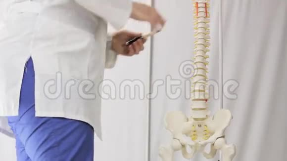 老师指着椎骨人类脊柱的布局视频的预览图