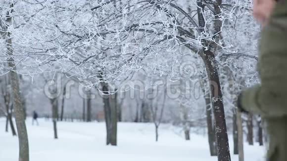 人从公园的树枝上扔雪视频的预览图