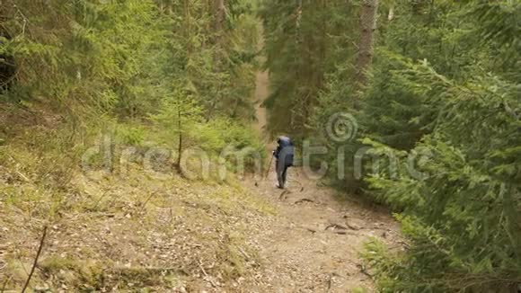 夏日森林里女孩徒步旅行镜头视频的预览图