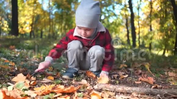 秋天公园里小男孩正在玩一根长着黄叶的树枝视频的预览图