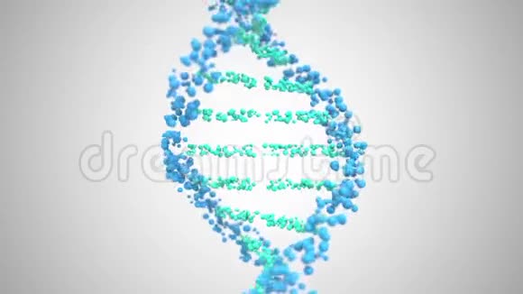 DNA螺旋模型可循环三维动画视频的预览图