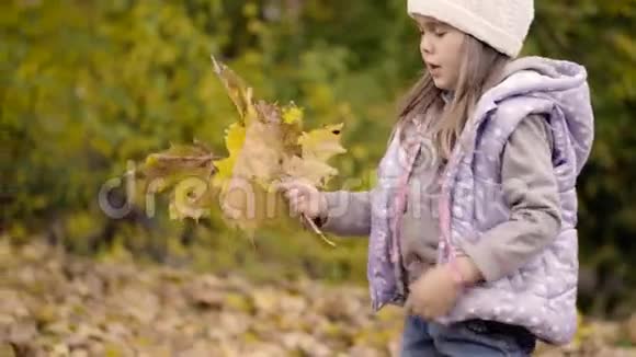 女孩收集秋天落叶视频的预览图