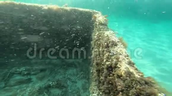 撒丁岛海岸的海底景观和缓慢移动的古老遗迹视频的预览图
