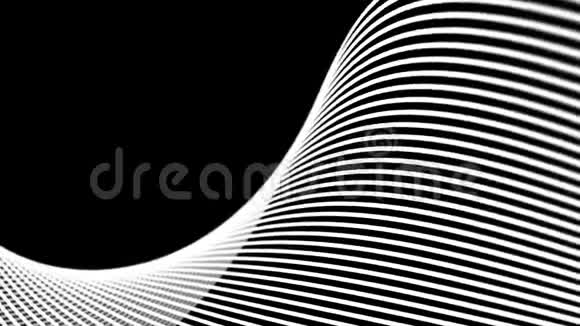 抽象可循环运动白色波浪线纹理在黑色背景数码技术数码景观背景视频的预览图