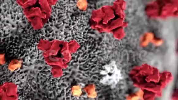 冠状病毒动画显微镜下的Germs病毒动画视频的预览图