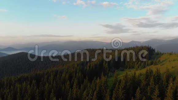 空中无人机视图4K分辨率飞越松林在山区喀尔巴阡山脉乌克兰雄伟壮观视频的预览图
