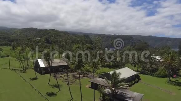 惊人的空中4k无人驾驶飞机对毛伊岛野生热带自然夏威夷深绿色森林海岸线太平洋海洋视频的预览图