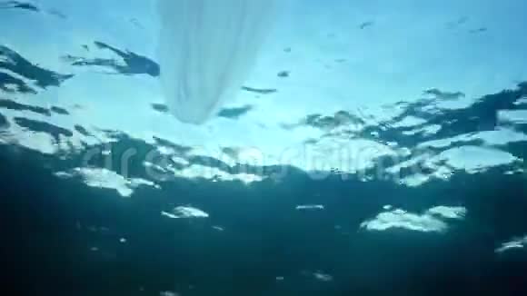 海洋入侵水母视频的预览图
