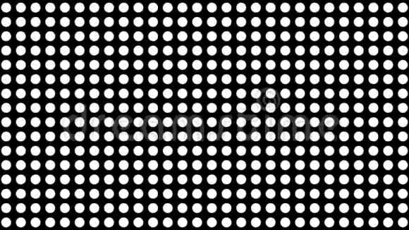 无缝半色调白点在黑色背景下出现并消失在运动中视频的预览图