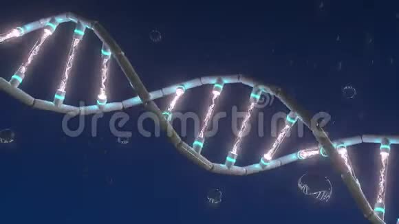 人工数字DNA螺旋模型艺术循环三维动画视频的预览图