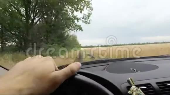 汽车在田野间的乡间小路上行驶从车内看视频的预览图