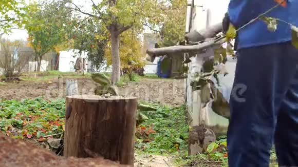 一个男人用斧头砍下他们避暑别墅花园树上的树枝特写木头视频的预览图