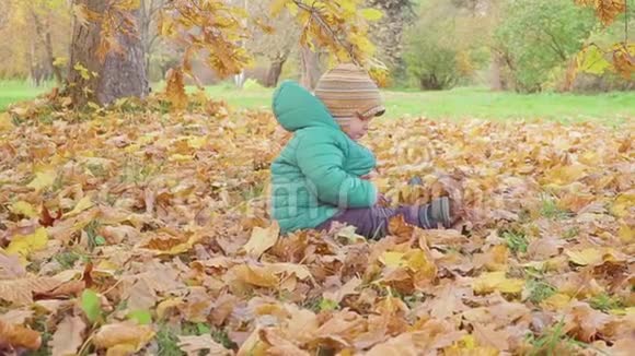 小男孩在秋天公园玩秋叶慢动作视频的预览图