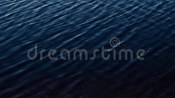 水面上轻漾视频的预览图