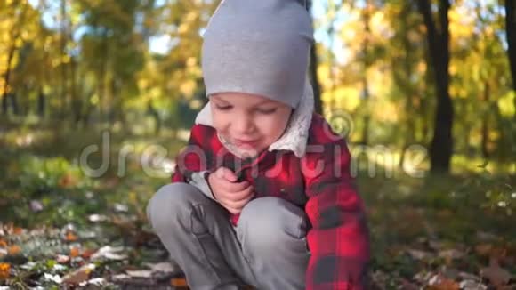 秋天公园快乐男孩的肖像视频的预览图