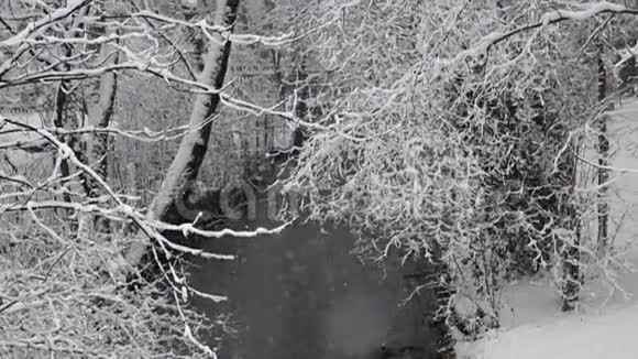 缓慢地下雪冰冻的河流视频的预览图