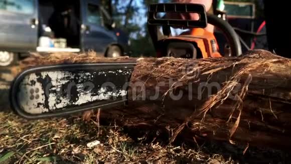 伐木工人用电锯砍柴视频的预览图
