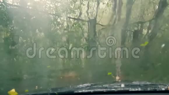 水滴落在汽车玻璃上树林里下着冰雹阳光照在照相机里视频的预览图