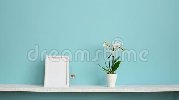 相框模型用盆栽兰花和手插做的白色架子搭在粉绿色墙上视频的预览图