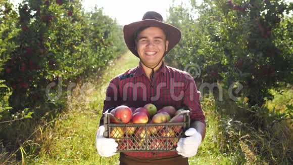 戴帽子的幸福农夫站在苹果园的画像视频的预览图