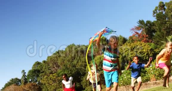 一群带着风筝在公园里奔跑的孩子视频的预览图