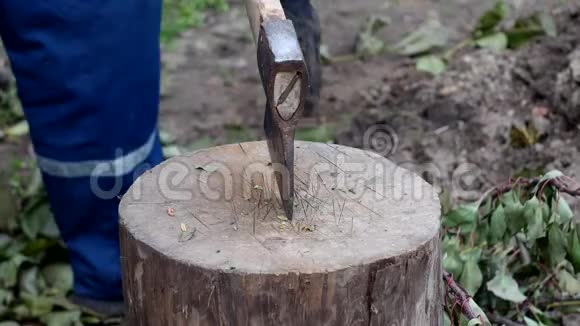 一个男人用斧头砍下他们避暑别墅花园树上的树枝特写视频的预览图