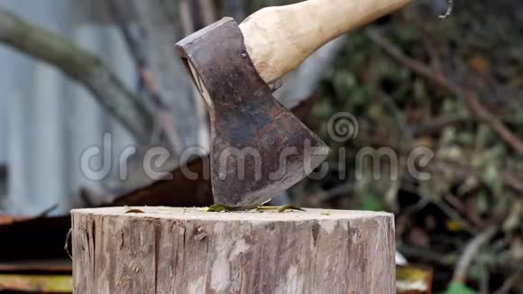 一个人用斧子砍下他们夏季别墅的花园树上的树枝特写斧头视频的预览图