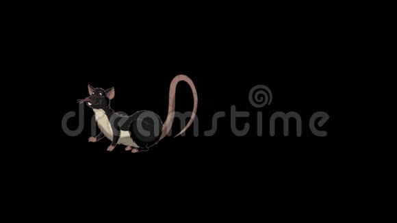 黑鼠入睡醒来动画阿尔法哑光视频的预览图