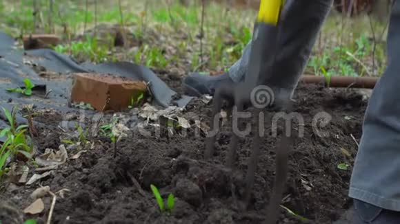 年轻女子用草叉挖腐殖质种植的土壤准备带着封面快关门慢动作120fps视频的预览图