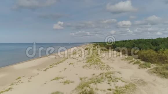 波罗的海附近的沙滩和拉脱维亚尤尔马拉的绿色森林视频的预览图