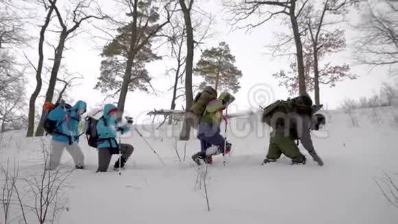 人们在冬山徒步旅行视频的预览图
