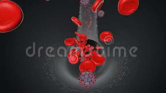 血液中电晕病毒与血细胞的三维动画视频的预览图