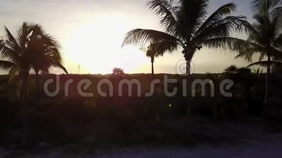 空中无人机射击镜头缓缓飞过椰掌加勒比海沿岸美丽的日落视频的预览图