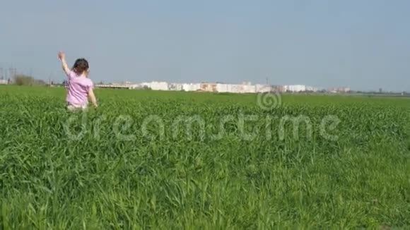 一个孩子在田里玩一个小女孩走在高高的草地上一个在麦田里的孩子视频的预览图