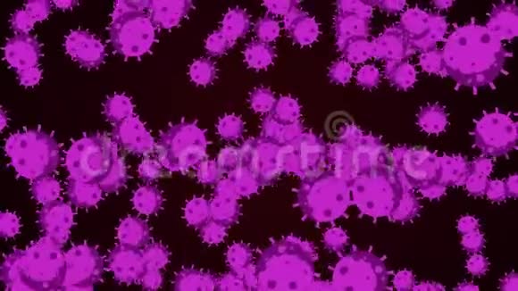 显微镜下的微生物和细菌冠状病毒的概念阿尔法频道视频的预览图