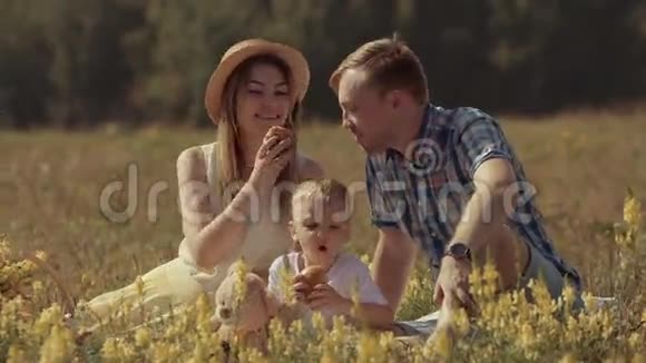 父母带着他们可爱的小儿子坐在田里野餐视频的预览图
