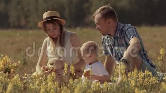 夏日炎炎一家人在绿茵场玩耍微笑着视频的预览图