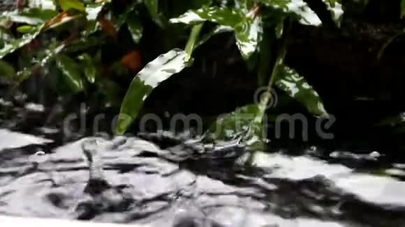 黑色背景拍摄的雨落视频的预览图