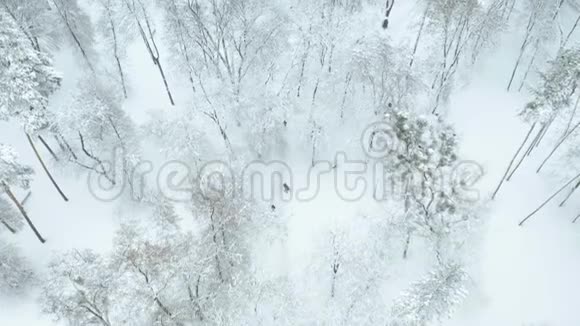 一对夫妇在雪地公园空中散步视频的预览图