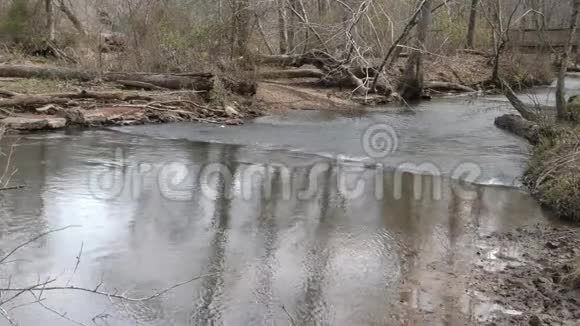 乔治亚州斯威沃特溪公园斯威沃特溪一侧支流的小型急流视频的预览图